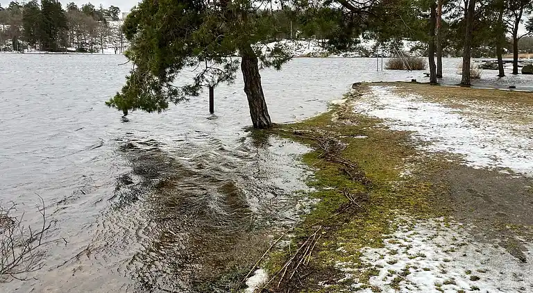 Sommerhus i Ronneby S