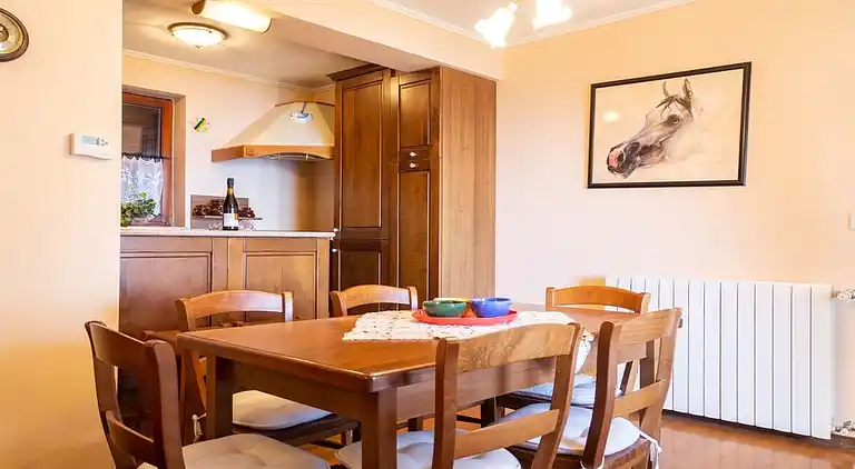 Ferienwohnung in Ičići