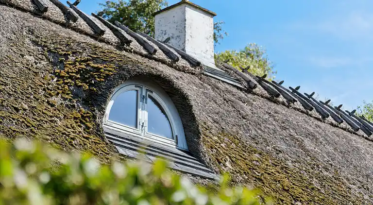 Idyllisches Fachwerkhaus für 10 Gäste