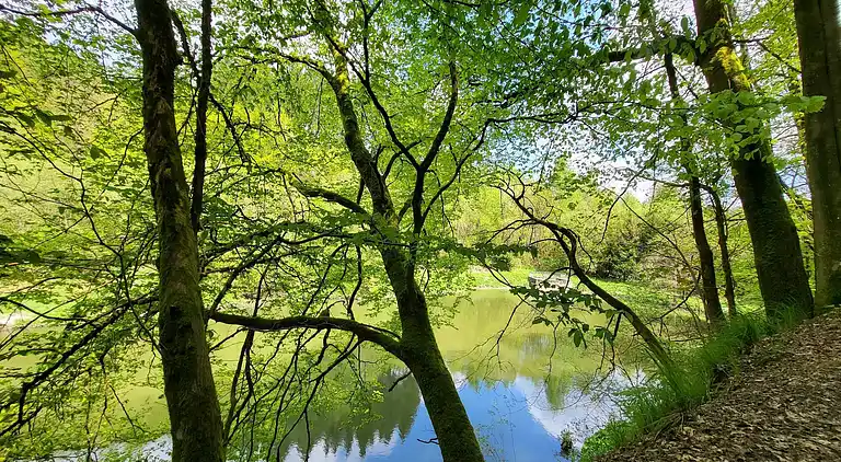 Apartment in Winterberg