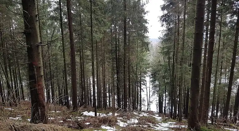 Apartment in Winterberg