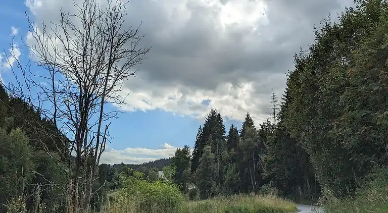 Apartment in Winterberg