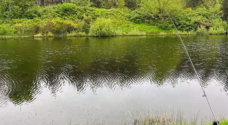 Sommerhus i Branderup J