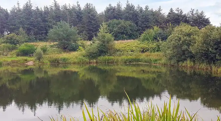 Sommerhus i Branderup J