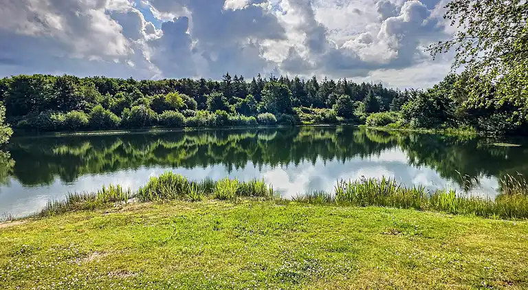 Sommerhus i Branderup J