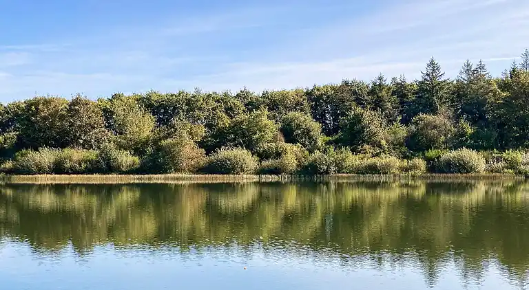 Sommerhus i Branderup J