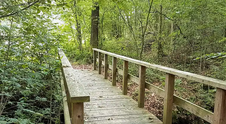 Sommerhus i Branderup J