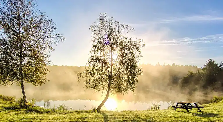 Holiday home in Branderup J