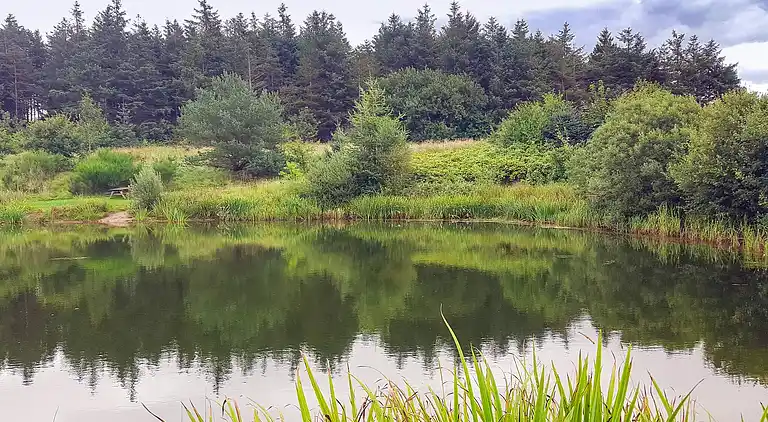 Holiday home in Branderup J