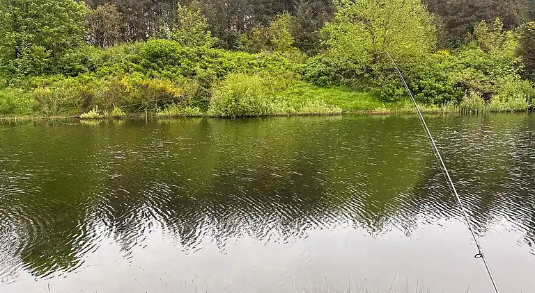 Holiday home in Branderup J