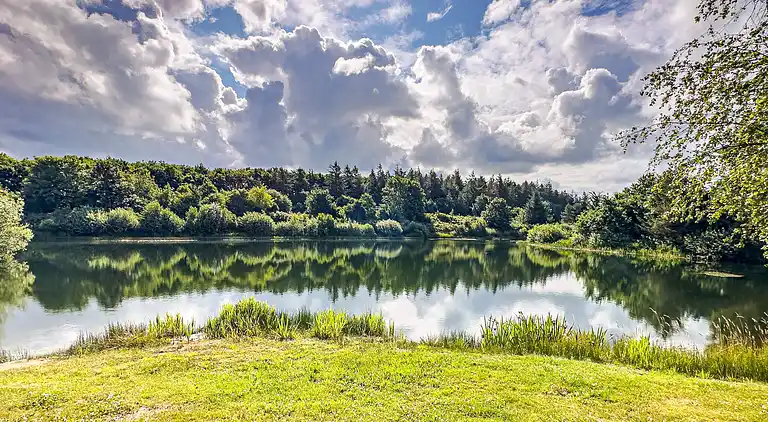 Holiday home in Branderup J