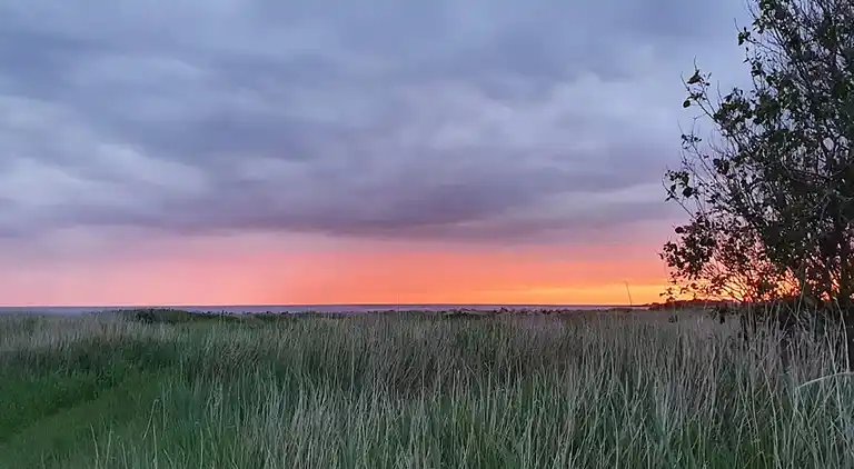 Semesterbostad i Skogstorp-Västra Gärdet-Arvidstorp