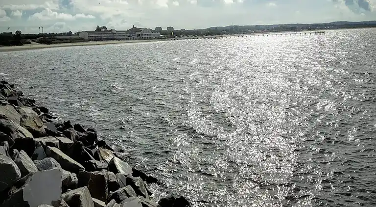 Semesterbostad i Skogstorp-Västra Gärdet-Arvidstorp