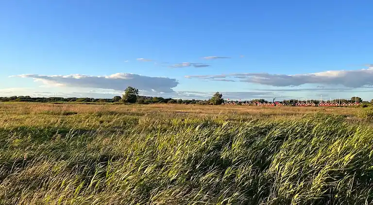 Semesterbostad i Skogstorp-Västra Gärdet-Arvidstorp