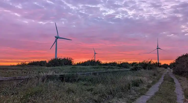 Semesterbostad i Skogstorp-Västra Gärdet-Arvidstorp