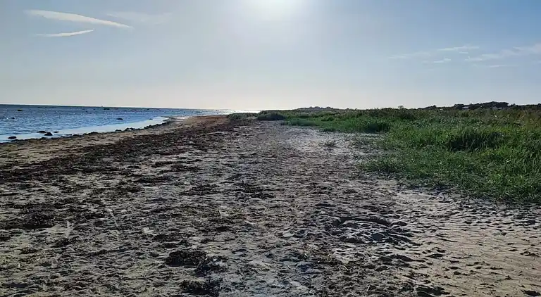 Semesterbostad i Skogstorp-Västra Gärdet-Arvidstorp