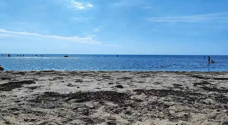 Semesterbostad i Skogstorp-Västra Gärdet-Arvidstorp