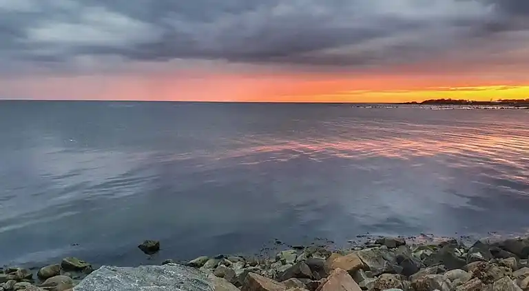 Semesterbostad i Skogstorp-Västra Gärdet-Arvidstorp