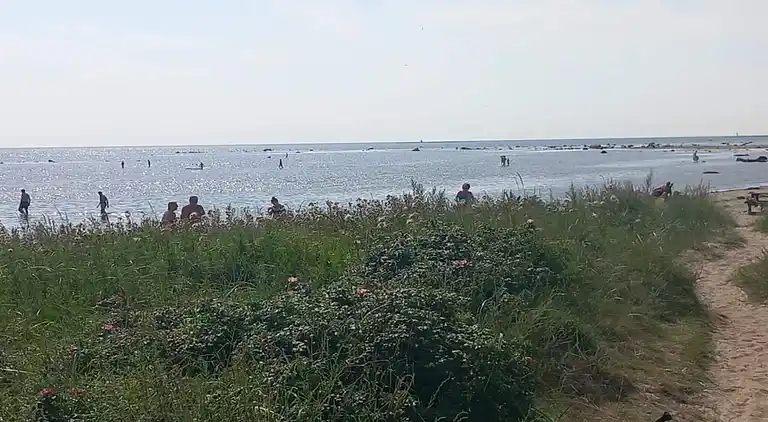 Semesterbostad i Skogstorp-Västra Gärdet-Arvidstorp