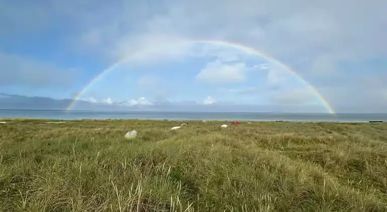 Skønt nyere sommerhus 4 minutter fra stranden