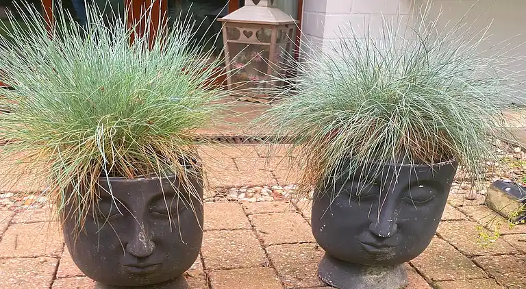 Maison de vacances en Samt Uelsen