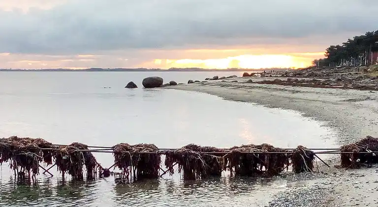 Holiday home in Hasmark Strand