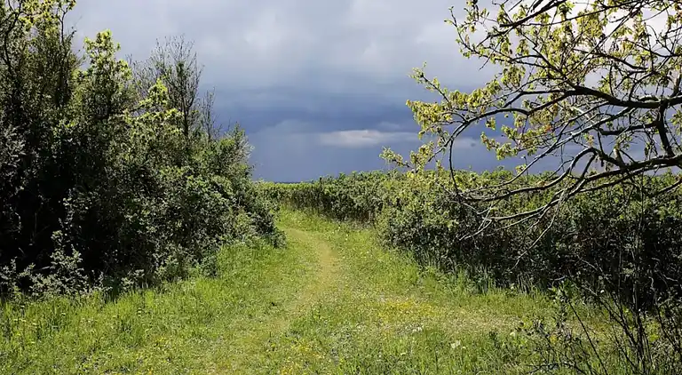 Holiday home in Stoense Udflyttere