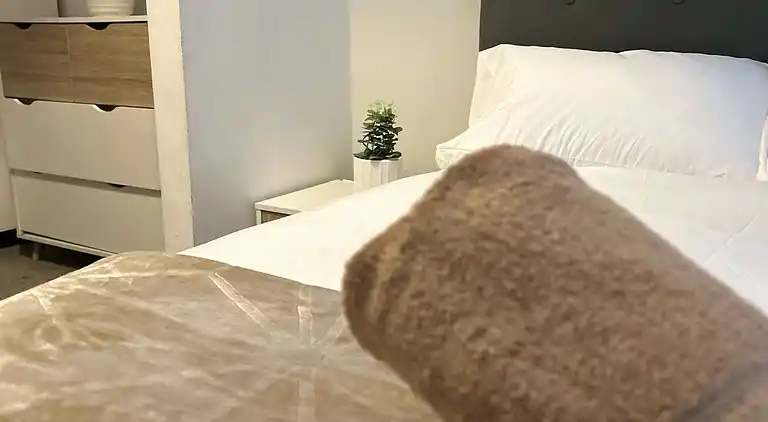 The Dyche-Parking-Local Attractions-Fast Wi-FI