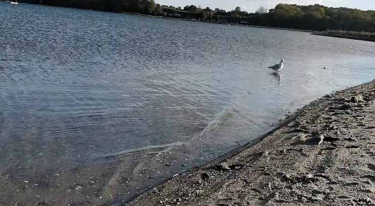 Sommerhus ved Hejlsminde Strand