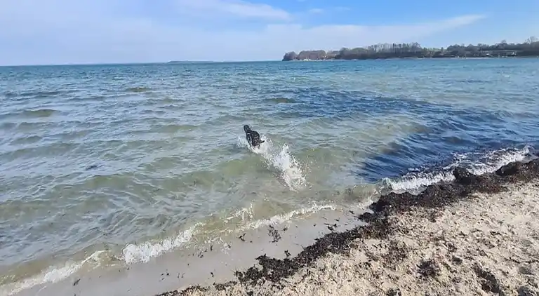 Sommerhus ved Hejlsminde Strand