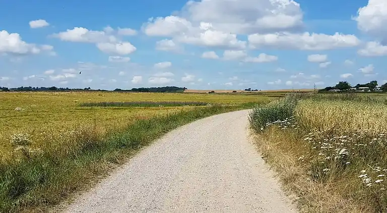 Sommerhus ved Sønderballe Strand