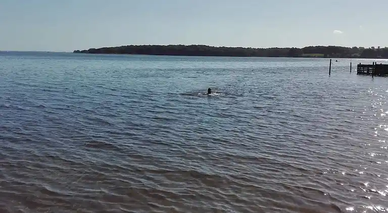 Sommerhus ved Sønderballe Strand