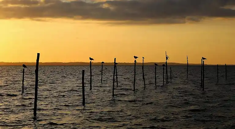 Sommerhus i Stoense Udflyttere