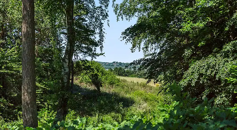 Klassisk sommerhus med udsigt over Arresø