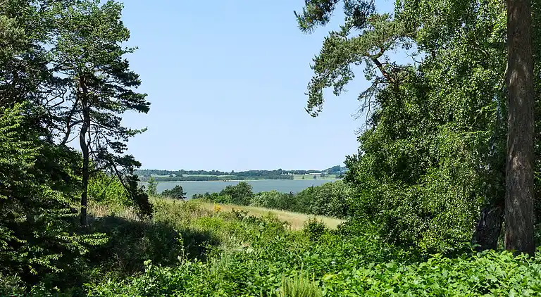 Klassisk sommerhus med udsigt over Arresø
