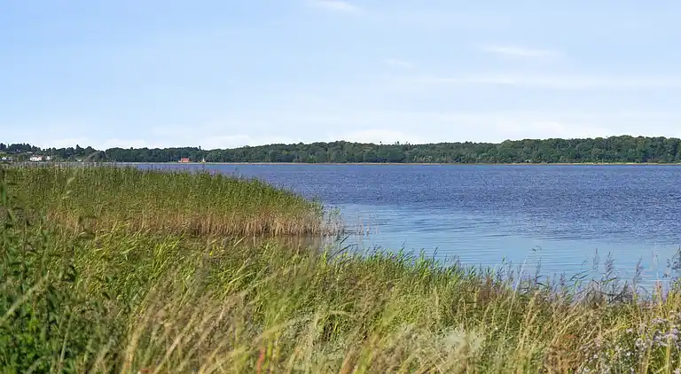 Helles, gemütliches Ferienhaus direkt am Fjord