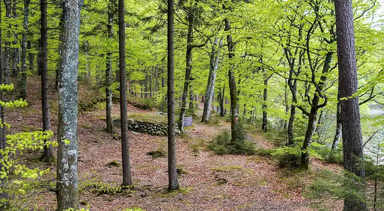 Sommerhus i Hässleholm NV