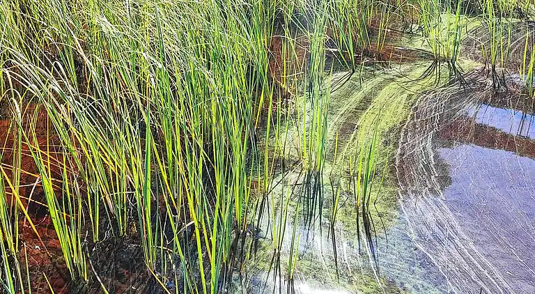 Sommerhus i Hässleholm NV