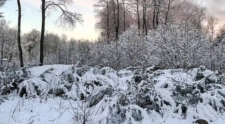 Sommerhus i Hässleholm NV