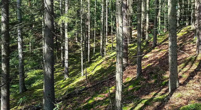 Sommerhus i Hässleholm NV