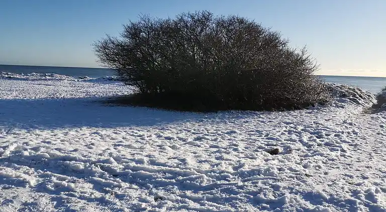 Sommerhus i Idestrup