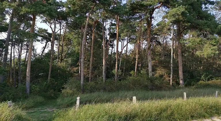 Sommerhus i Idestrup