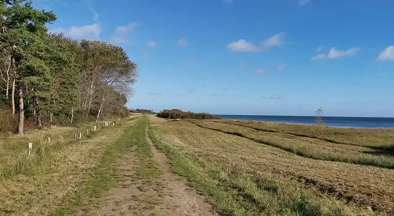 Sommerhus i Idestrup