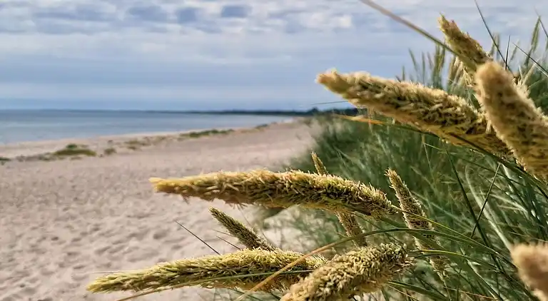 Sommerhus i Idestrup