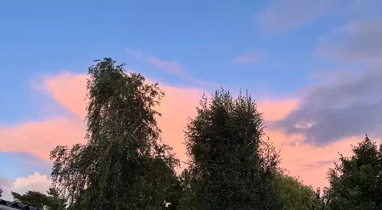 Sommerhushygge ikke langt fra strand og skov