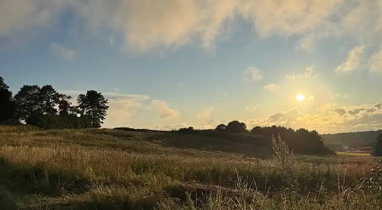 Sommerhushygge ikke langt fra strand og skov