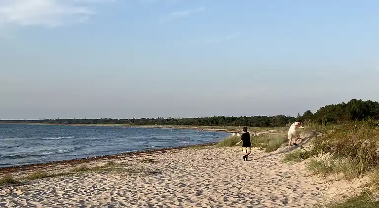 Sommerhushygge ikke langt fra strand og skov