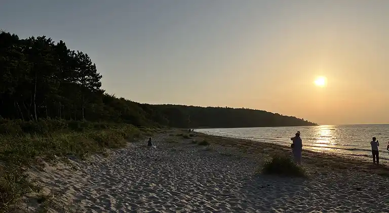 Sommerhushygge ikke langt fra strand og skov