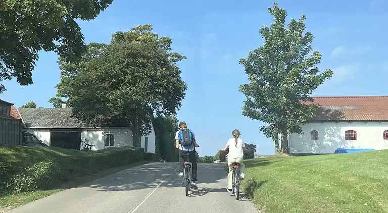 Sommerhushygge ikke langt fra strand og skov