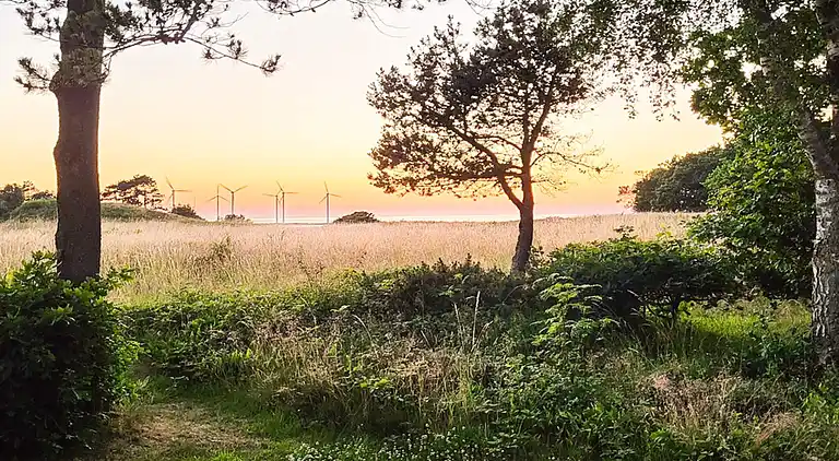 Sommerhus ved Bønnerup Strand